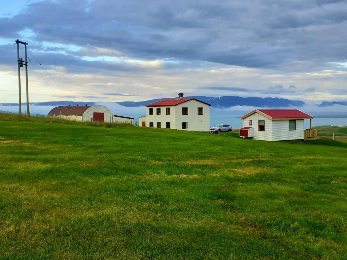 Skarth Guesthouse Saudarkrokur Экстерьер фото